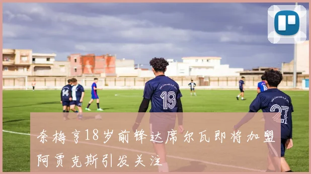 奈梅亨18岁前锋达席尔瓦即将加盟阿贾克斯引发关注